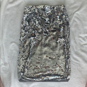 Silver sequined skirt